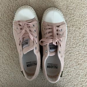 PALLASHOCK OG | ROSE DUST